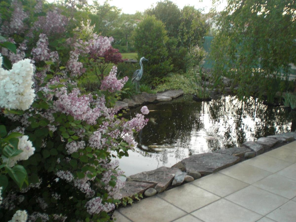 Le Jardin De Nemo Bed & Breakfast Biscarrosse Dış mekan fotoğraf